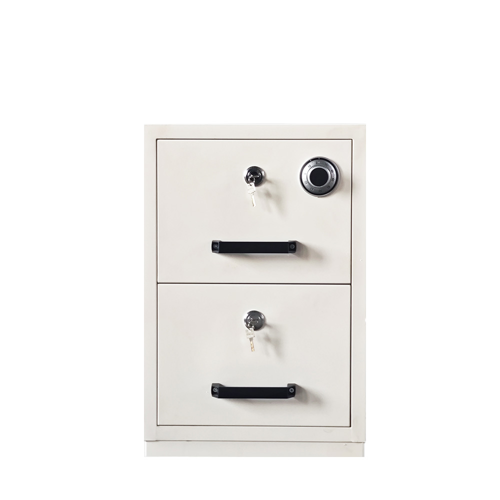 2 Drawer Vertical Office File  - File Cabinet Drawer avis et prix