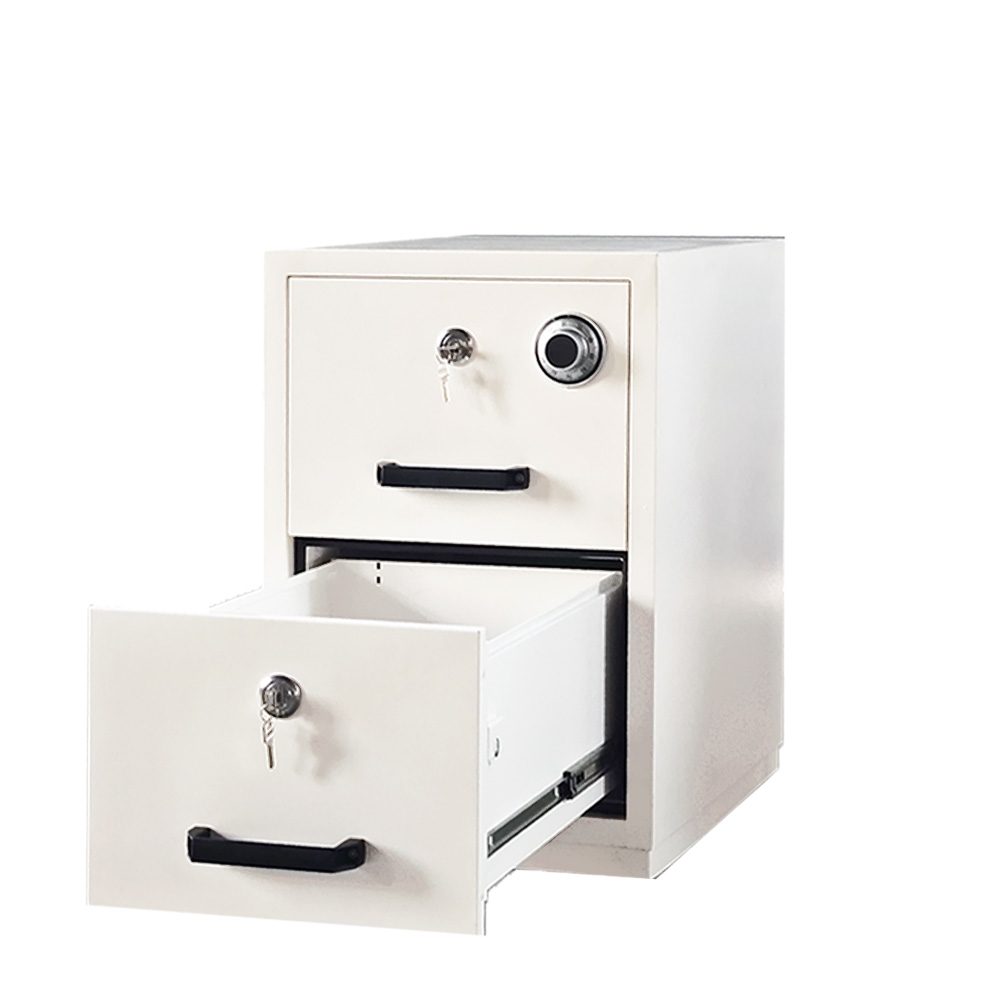 2 Drawer Vertical Office File  - File Cabinet Drawer avis et prix