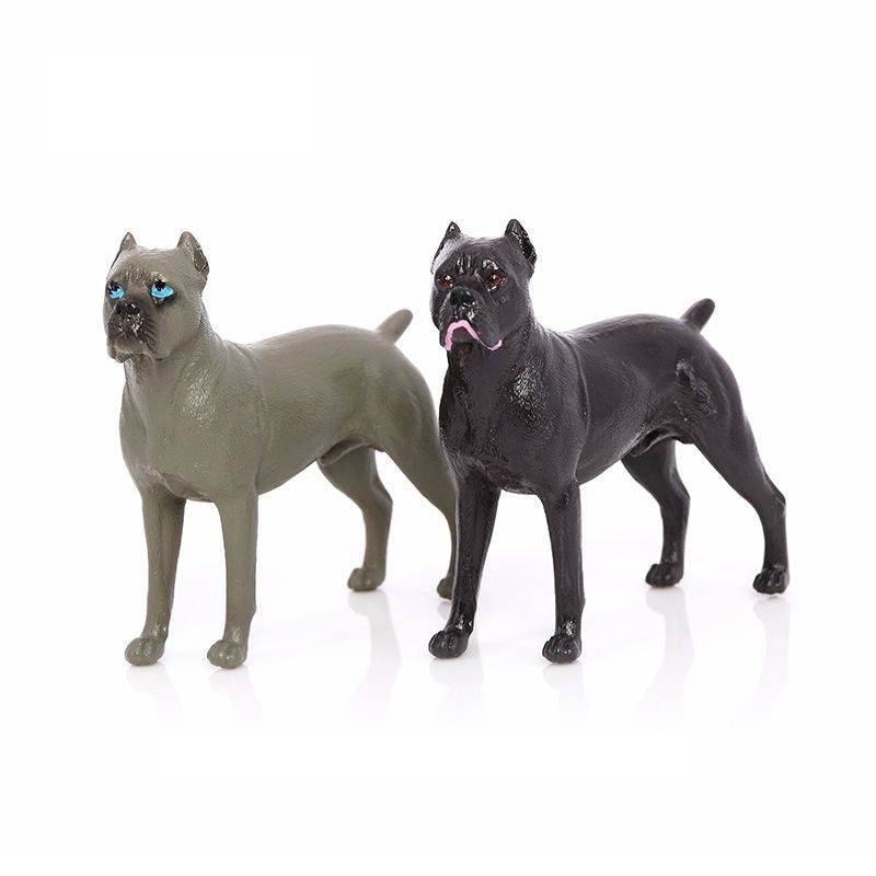 Realistic Miniature Cane Corso - Home Office Freelancer avis et prix