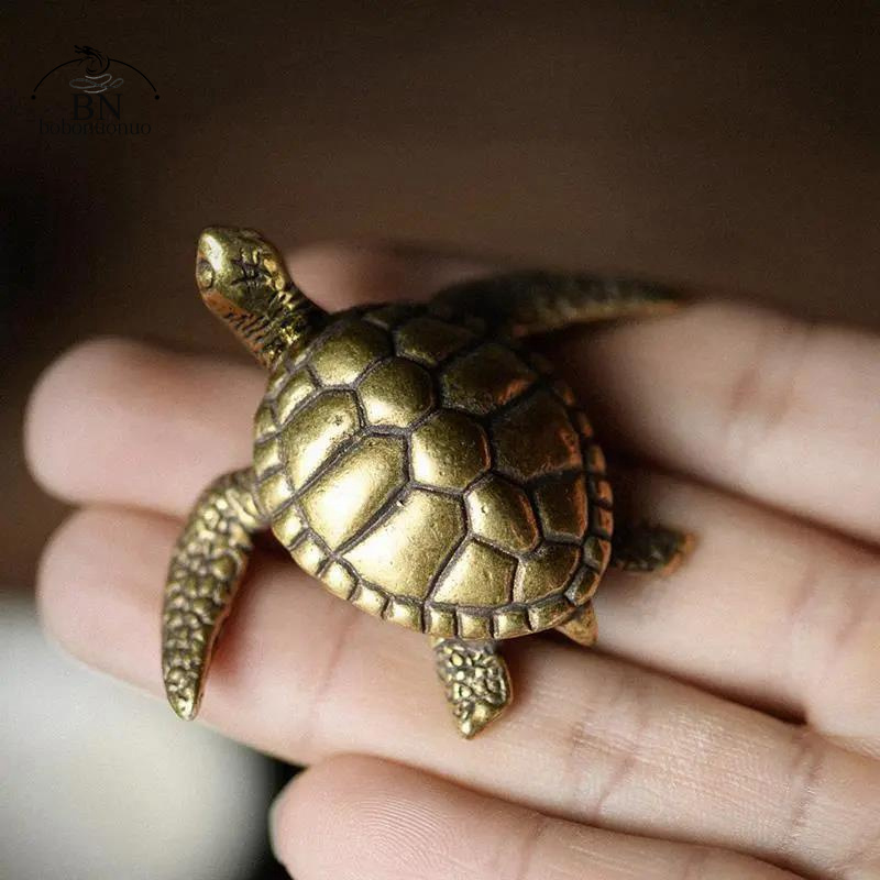 Brass Turtle Small Home Deco O - Home Office Freelancer avis et prix