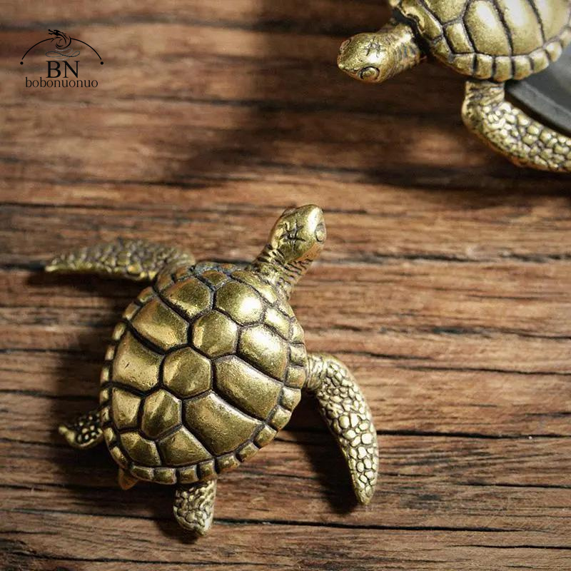 Brass Turtle Small Home Deco O - Home Office Freelancer avis et prix